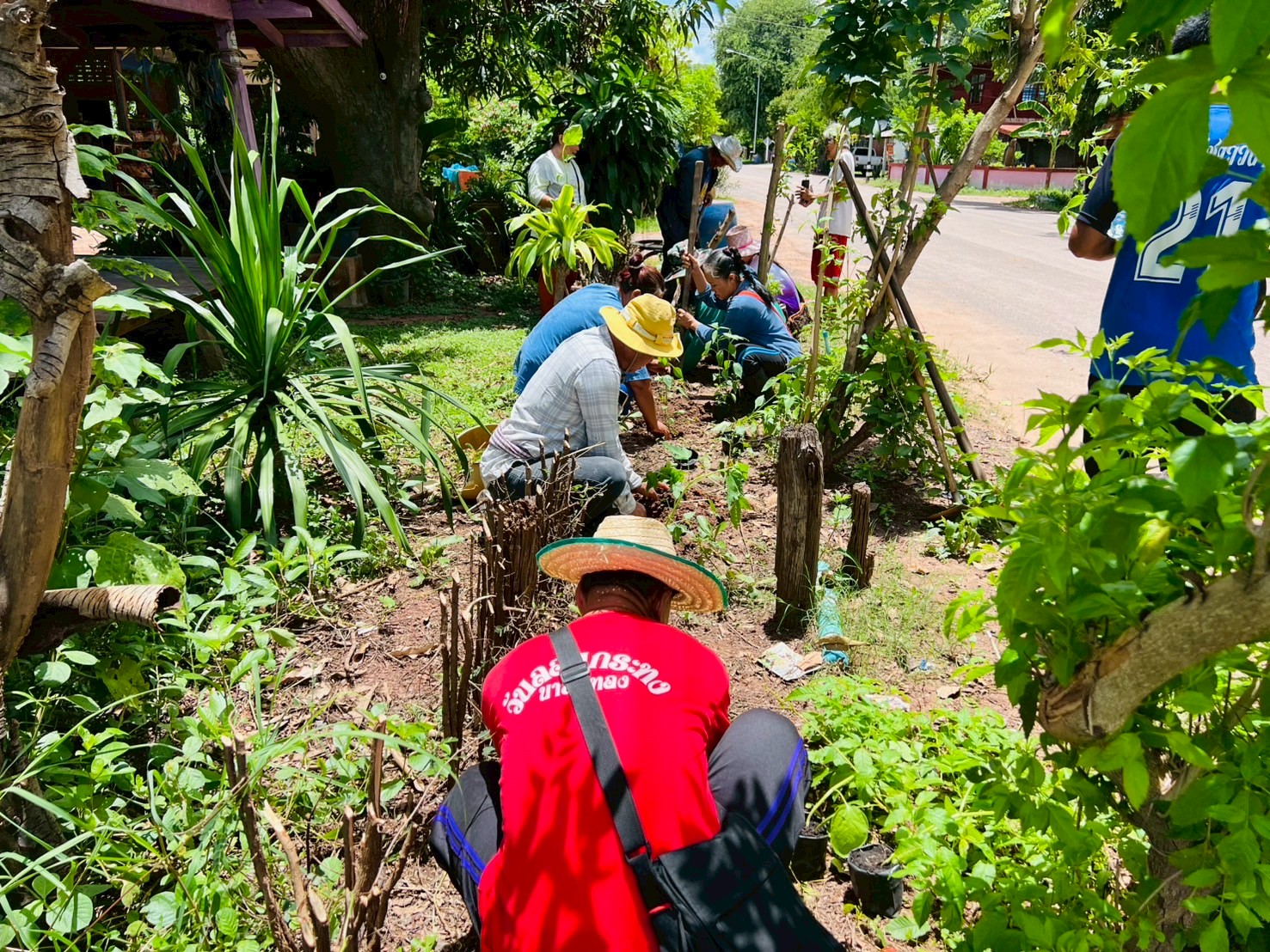 หมู่บ้านต้นแบบการน้อมนำแนวพระราชดำริปลูกผักสวนครัวเพื่อสร้างความมั่นคงทางอาหาร