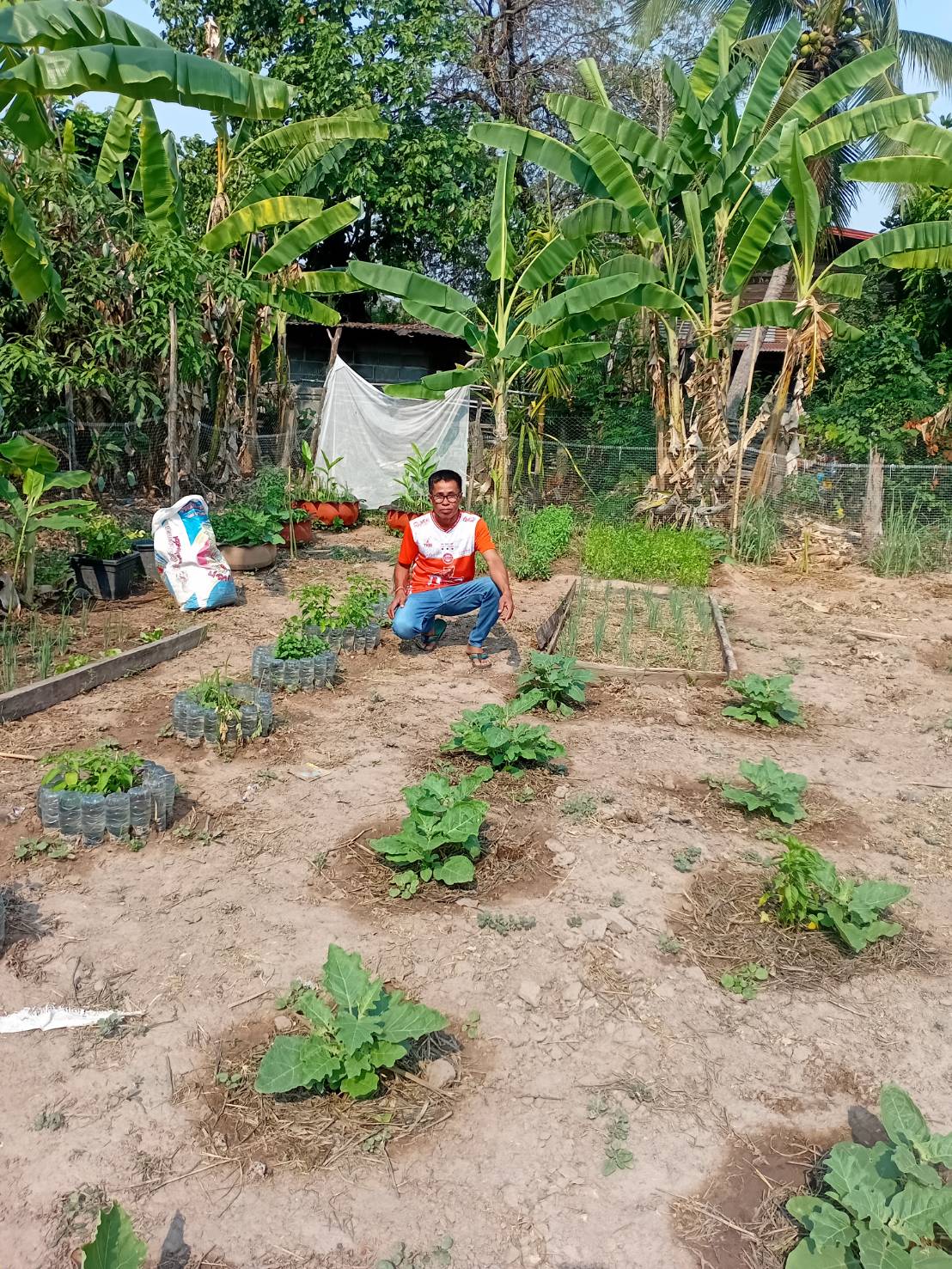 ปฏิบัติการ “Quick Win 90 วัน” ปลูกผักสวนครัว สร้างความมั่นคงทางอาหาร